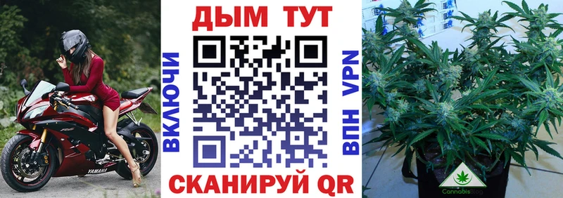 Конопля THC 21%  Еманжелинск 